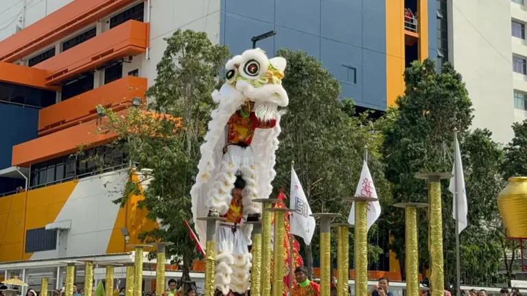 เชิดสิงโตเสาดอกเหมย